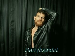 Harrybsmdirt