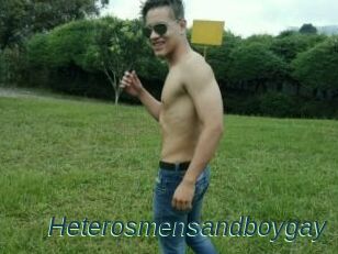 Heterosmensandboygay