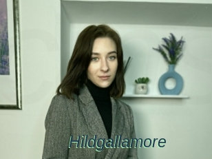 Hildgallamore