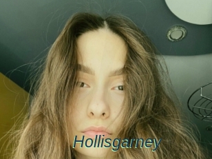 Hollisgarney