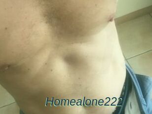 Homealone222