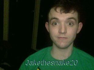 Jakethesnake20