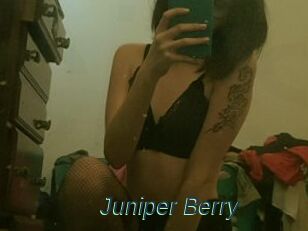 Juniper_Berry