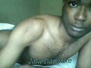 Jake_tha_snake