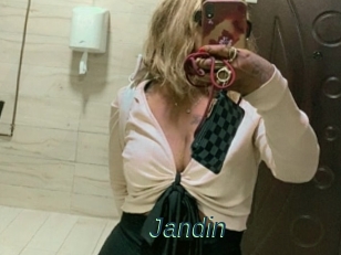 Jandin