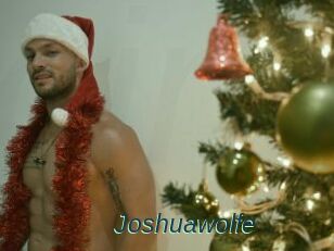 Joshuawolfe