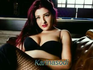 Karinasodi