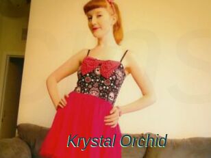 Krystal_Orchid