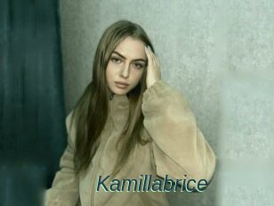 Kamillabrice