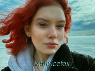 Kandicefox