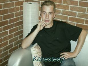 Kanesteep