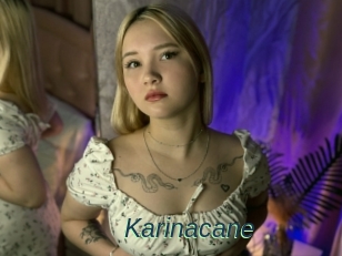 Karinacane
