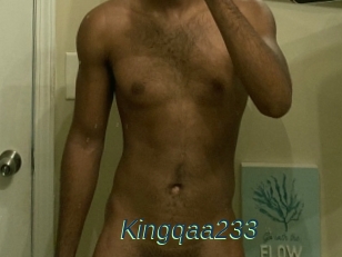 Kingqaa233