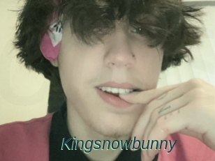 Kingsnowbunny