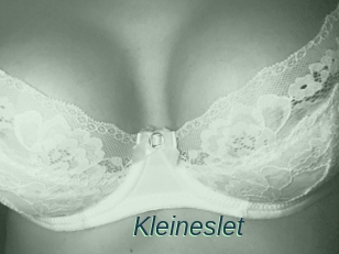Kleineslet