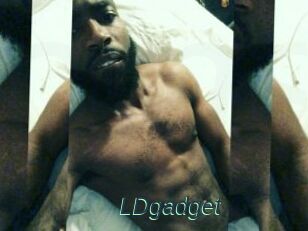LDgadget