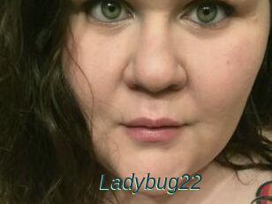 Ladybug22