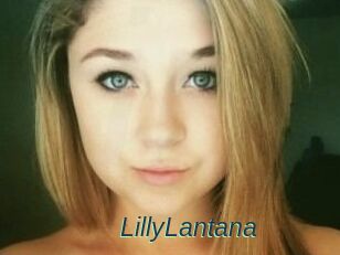 LillyLantana