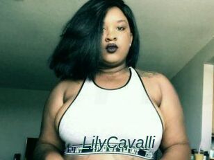 Lily_Cavalli