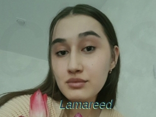 Lamareed