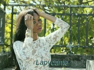 Lapycante