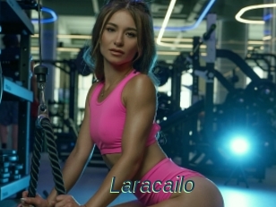 Laracailo