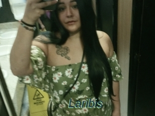 Laribis
