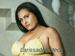 Larissadelcotech