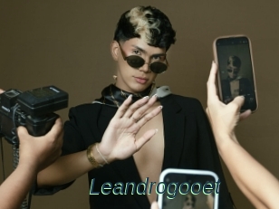 Leandrogooet