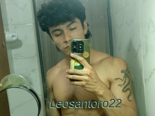 Leosantoro22