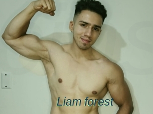 Liam_forest