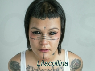Lilacollina