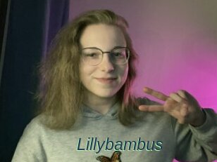 Lillybambus