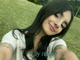Lily_rosse