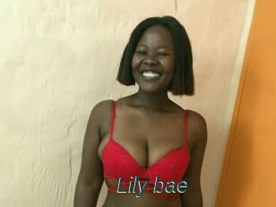 Lily_bae