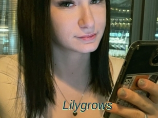Lilygrows