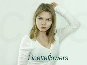 Linetteflowers