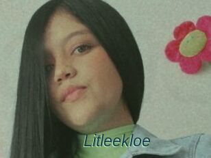 Litleekloe