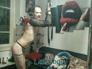Littledoggy