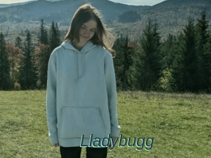 Lladybugg