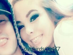 Lovebirds02477