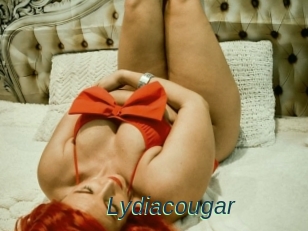 Lydiacougar
