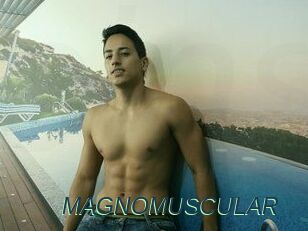 MAGNOMUSCULAR