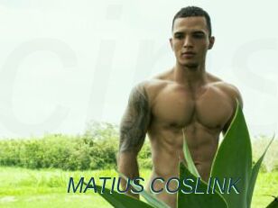 MATIUS_COSLINK