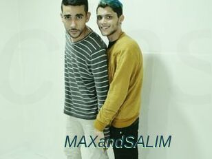 MAXandSALIM
