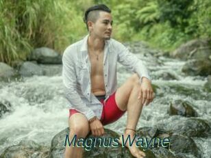 MagnusWayne