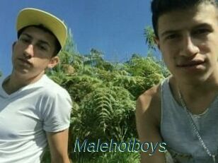 Malehotboys