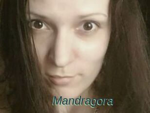 Mandragora