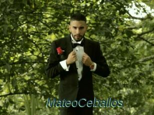 MateoCeballos