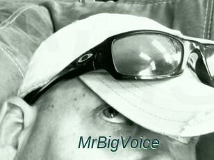 MrBigVoice